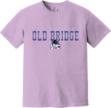 Old Bridge Jr. Knights Heavyweight Ring Spun Tee