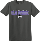 Old Bridge Jr. Knights Softstyle T-Shirt