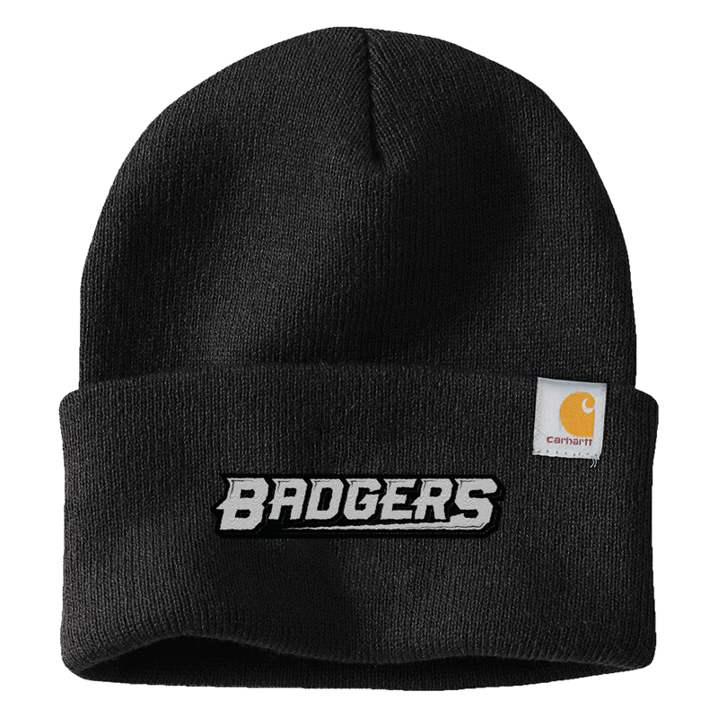 Allegheny Badgers Carhartt Watch Cap 2.0
