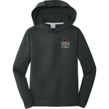 Wash U Youth Performance Fleece Pullover Hooded Sweatshirt