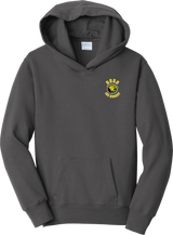 Chester County Youth Fan Favorite Fleece Pullover Hooded Sweatshirt
